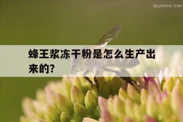 蜂王浆冻干粉是怎么生产出来的？ 蜂王浆冻干粉是怎么生产出来的视频